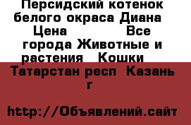 Персидский котенок белого окраса Диана › Цена ­ 40 000 - Все города Животные и растения » Кошки   . Татарстан респ.,Казань г.